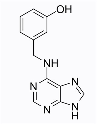 CAS NO. 75737-38-1 Toʻqimalar madaniyati Sitokinin Meta-Topolin M-Toplin oʻsimlik oʻsishi regulyatori 99 foiz