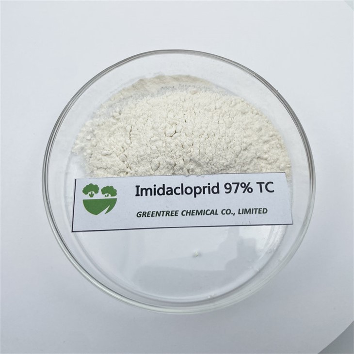 CAS NO. 138261-41-3 Insektitsid pestitsidlariga qarshi kurash Thrips Imidacloprid 97% Tc 70% Wdg