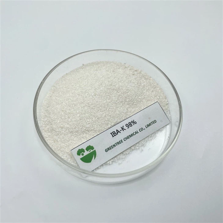 CAS raqami 60096-23-3 IBA-K Indol butirik kislota 98 ​​foiz texnik C12H12KNO2