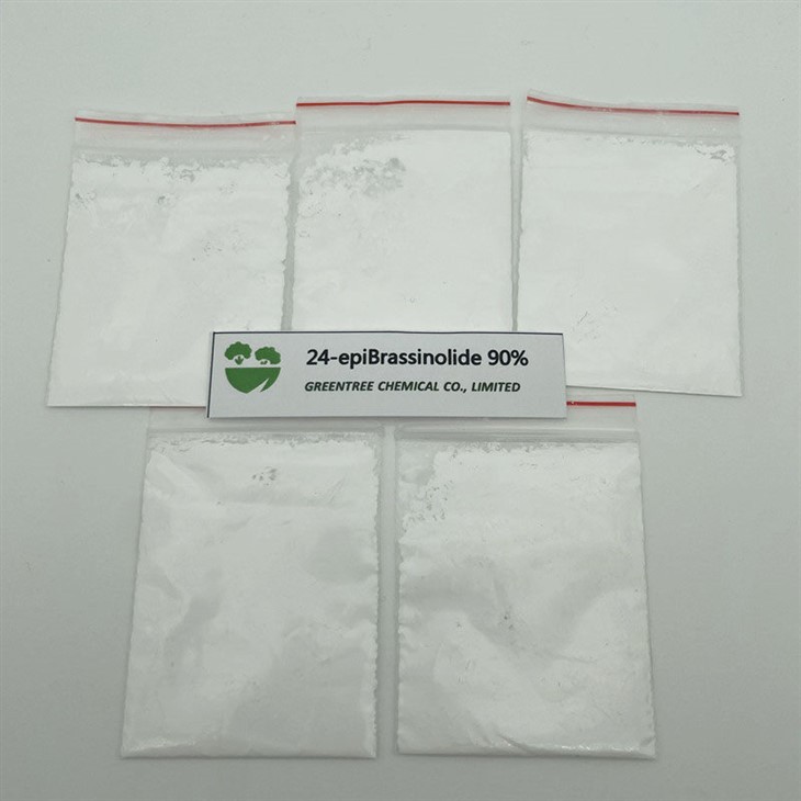 C28H48O6 24-epiBrassinolide Brassinolide 90% Tc o'simliklar o'sishini rag'batlantirish uchun