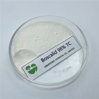 CAS 188425-85-6 C18H12Cl2N2O Boscalid 98% Tc Texnik