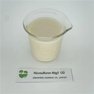 Nicosulfuron 40 G/L OD Agrokimyoviy moddalar begona o'tlarga qarshi kurash