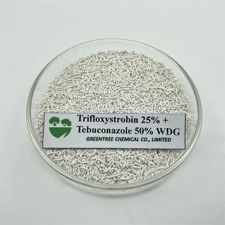 Yuqori samarali tez ta'sir qiluvchi fungitsid pestitsid Trifloksistrobin 25%+ Tebukonazol 50% WDG